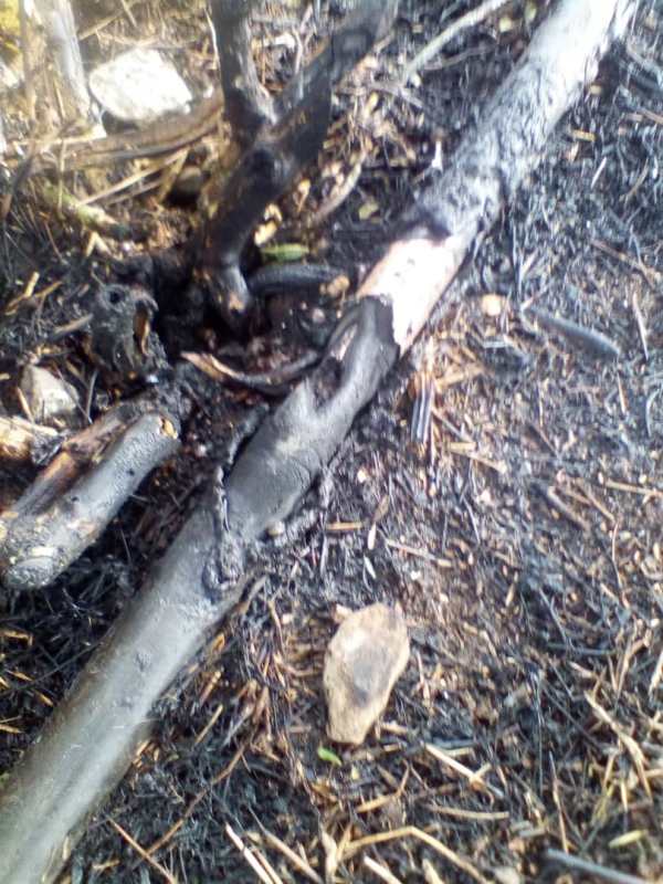 Corte al cable de potencia que dejó herido al trabajador