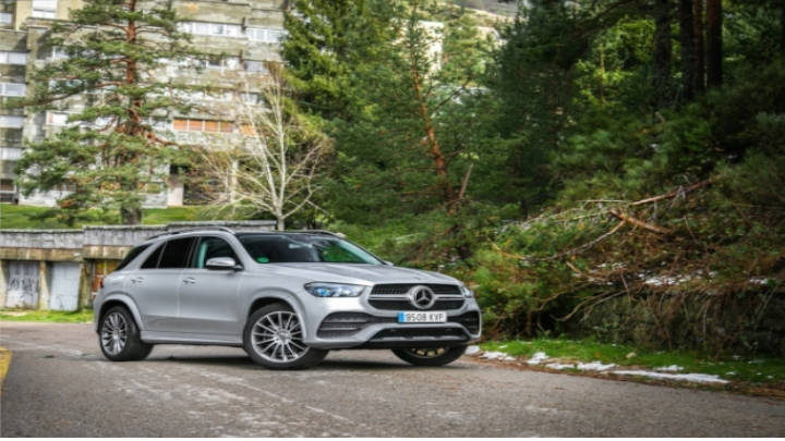 Bestial estética de vista potente y dominante