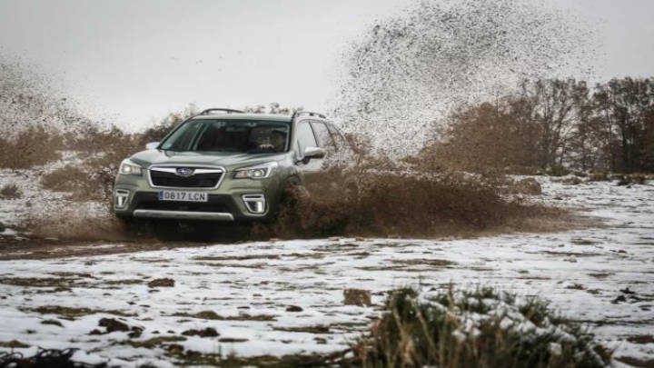 Un campero que se superó al convertirse en híbrido