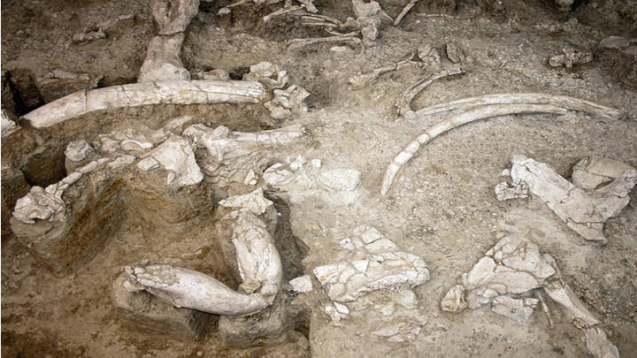 Ambrona, yacimiento prehistórico