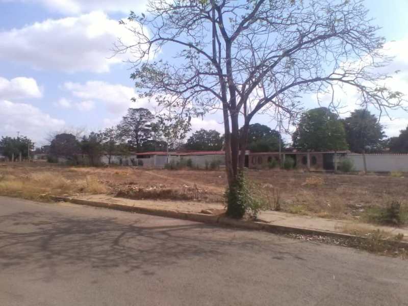 El terreno baldío se ha prestado para que los delincuentes se escondan cuando el mismo está lleno de maleza