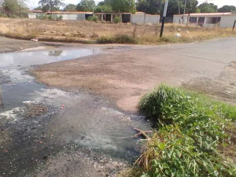 En la calle 5 los residentes se ven afectado debido a los olores que cada día es más fuerte