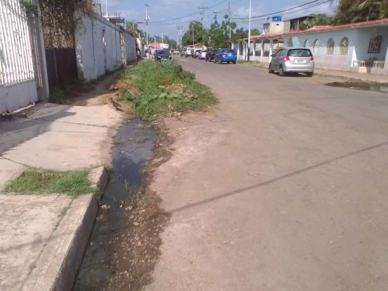 En la calle 7 las aguas blancas se mezclan con las negras