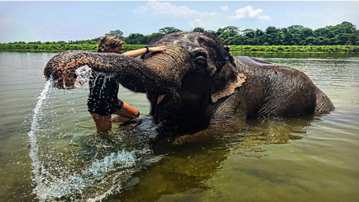 [:es]Pasear en elefantes, la aventura perfecta[:]