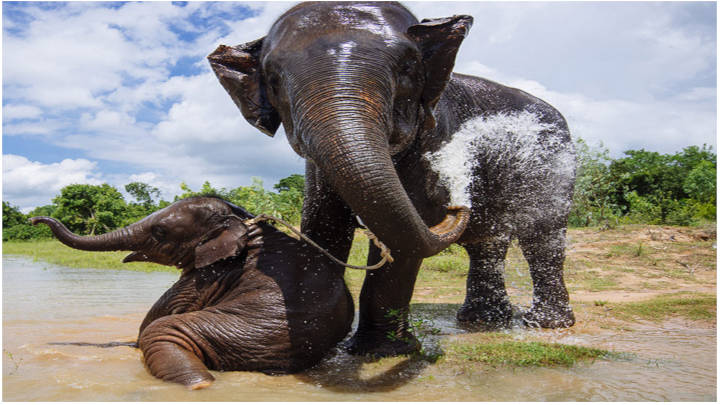 Un perfecto momento para experimentar nuevas experiencias