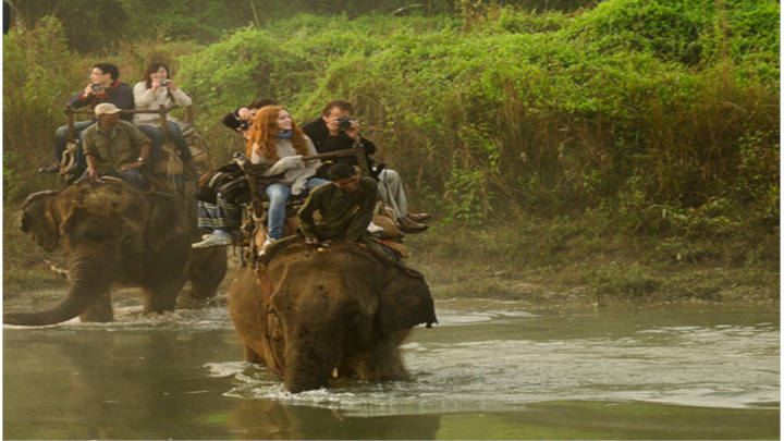 La experiencia única en la selvas de Nepal, descubre Chitwan