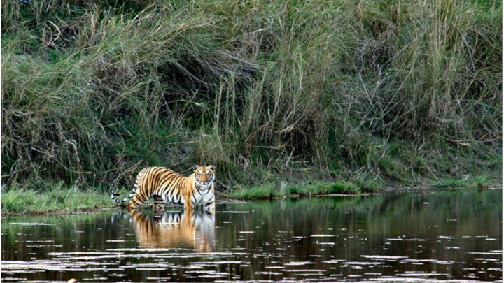 Una escena memorable, llena de adrenalina