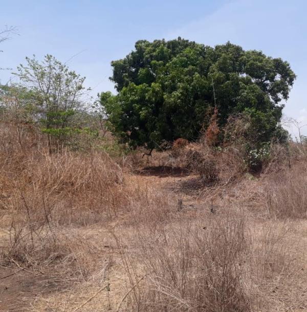 Lugar del enfrentamiento. 