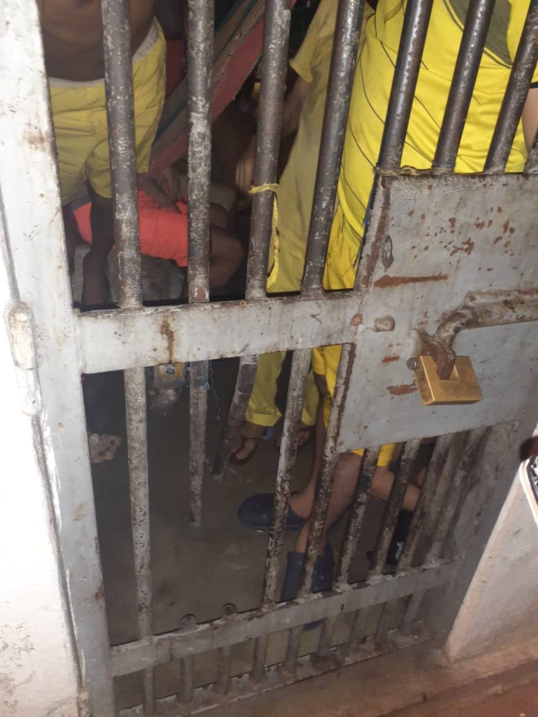 Rompieron los barrotes de la reja. Foto Cortesía