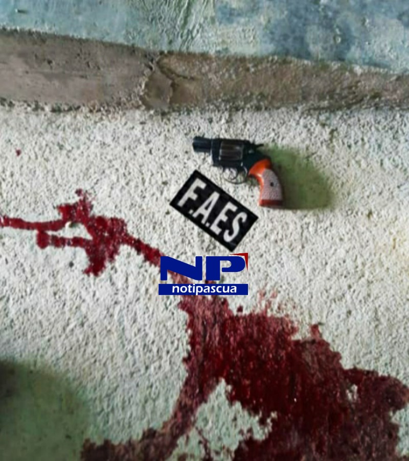 Arma de fuego que portaba "Bartolito".