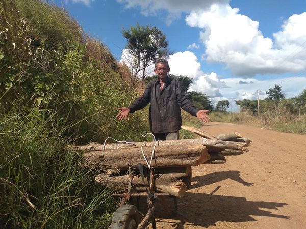 [:es]Entre chispas del tendido eléctrico y humo de leña viven en 4 de febrero[:]