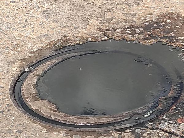 [:es]Empeora problema de aguas servidas en la avenida Rómulo Gallegos[:]