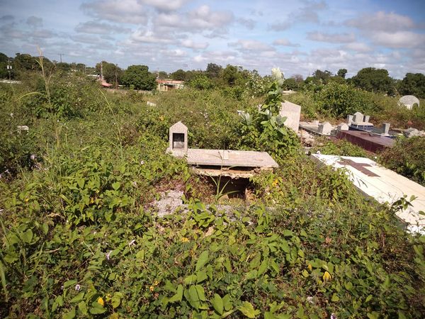 [:es]Olvidado y convertido en bosque, cementerio de la avenida Las Industrias[:]