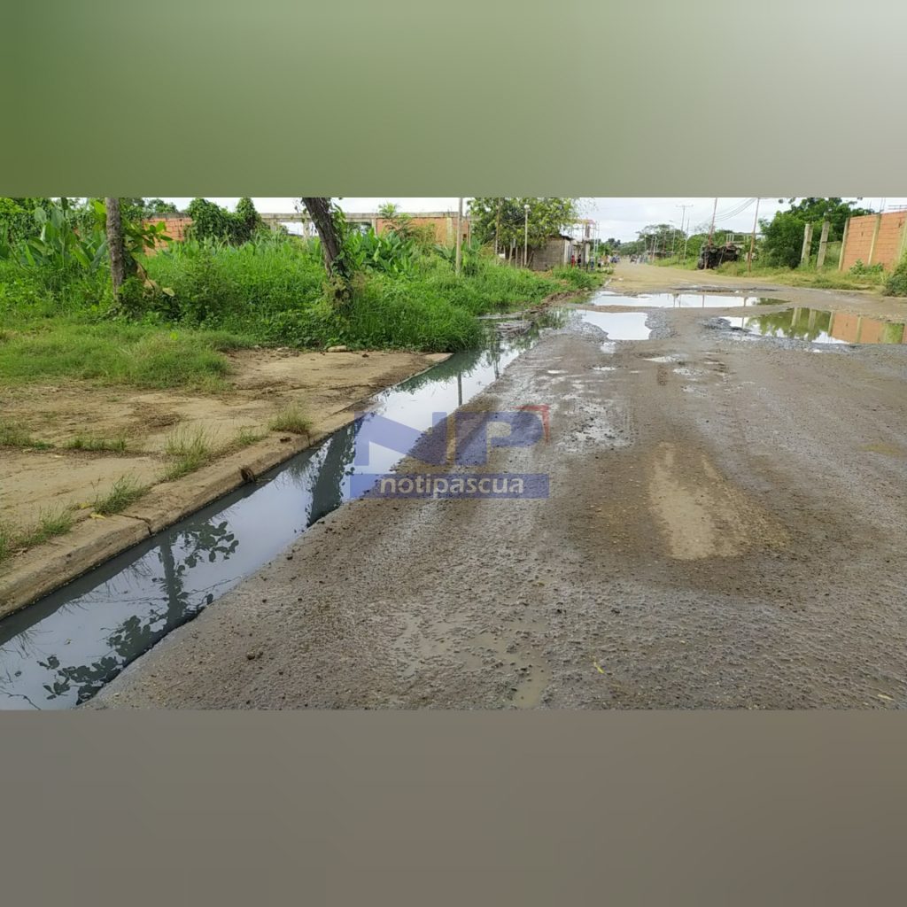 Brote de aguas negras en el sector afecta a los vecinos. 