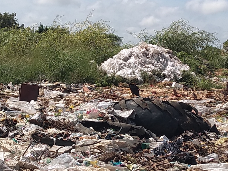 [:es]Lanzan cueros de animales por cantidades, en vía hacia Mamonal[:]