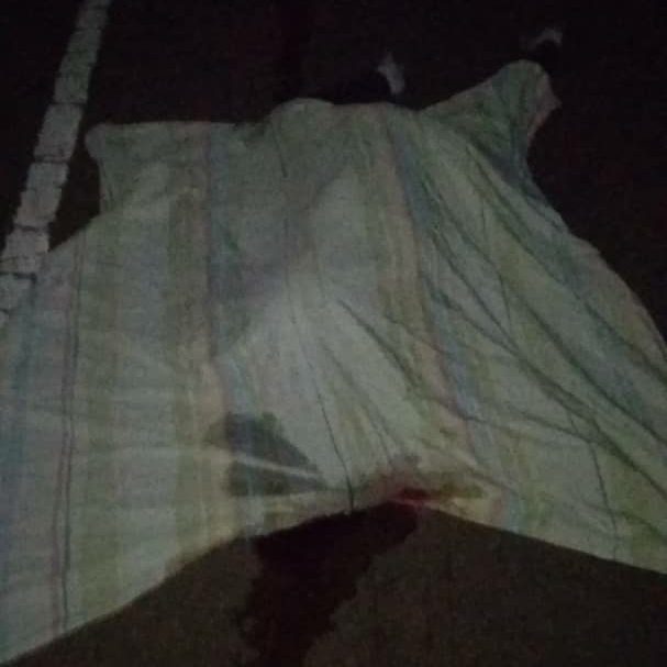 [:es]Mujer murió cuando cayó de gandola que le daba la cola[:]