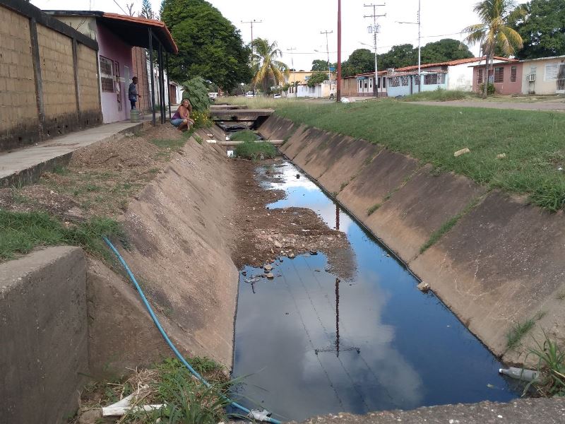 [:es]En Ruiz Pineda aguas putrefactas contaminan el ambiente[:]