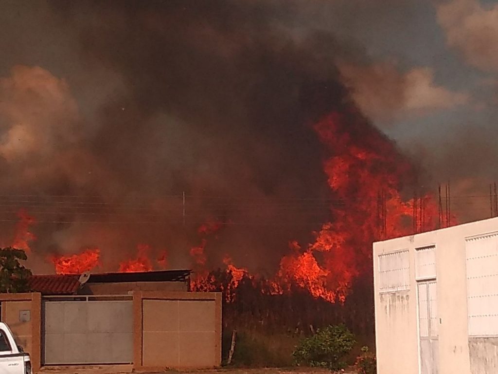 Las llamas casi llegan hasta las viviendas adyacentes 
