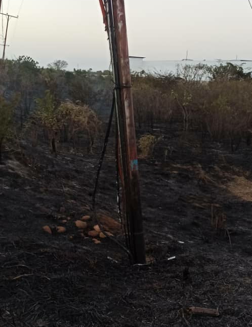 [:es]Incendios de vegetación dañan cableados de teléfonos[:]