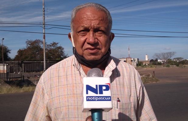 [:es]Por falta de agroquímicos, plagas arrasaron cultivos en Parmana[:]