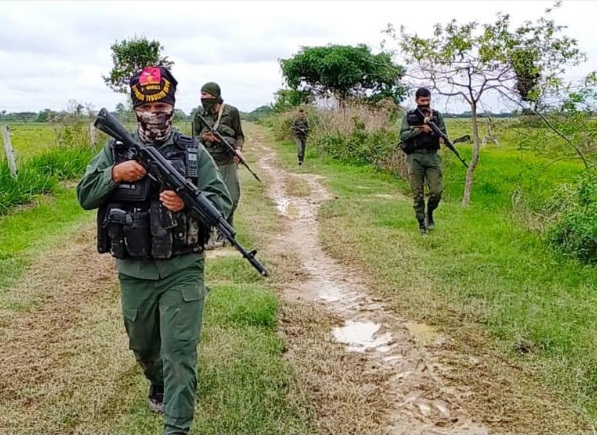 [:es]FANB elimina minas antipersonales en el estado Apure[:]