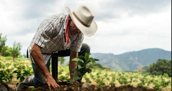 [:es]El agro venezolano necesita financiamiento y recursos para ciclo de siembra invierno 2021[:]