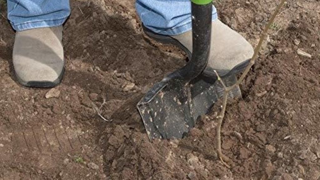 [:es]Sujeto que robaba una clínica fue descubierto y asesinado por el dueño[:]