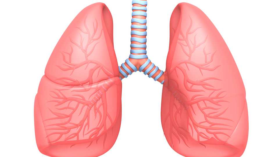 [:es]Fibrosis Pulmonar: Síntomas y Tratamiento[:]