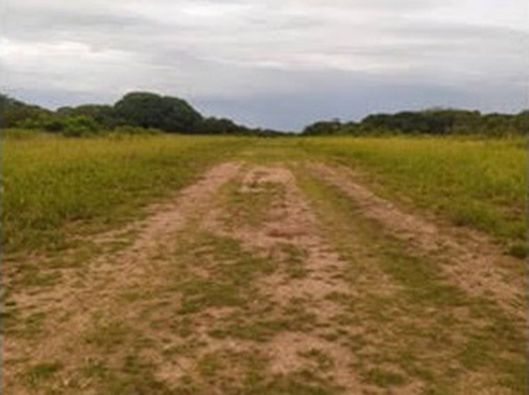 [:es]Pista de aterrizaje clandestina fue localizada en Calabozo[:]