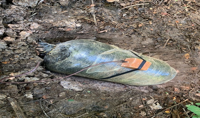 [:es]Ejercito colombiano frustó atentado con bomba en el Arauca[:]
