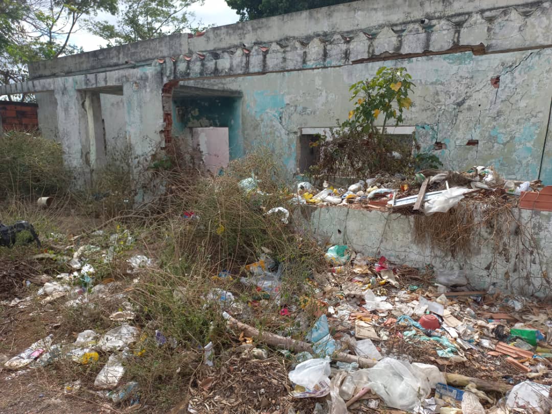 [:es]»Cochinos» y malandros invadieron el callejón Buenos Aires de La Vigía 1[:]