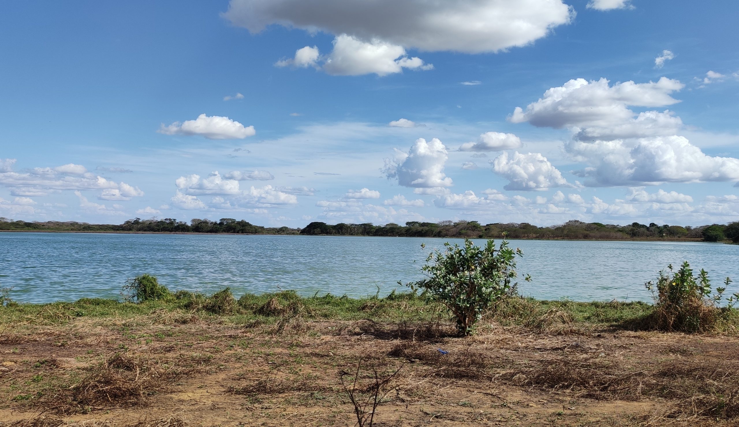 [:es]Parque El Corozo «Un lugar que se niega a morir en el abandono»[:]