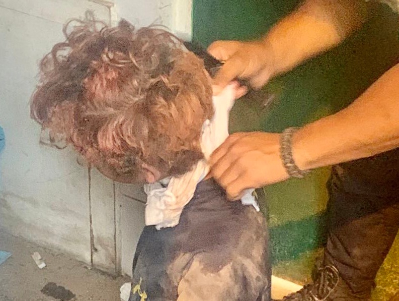 [:es]MP investiga caso de abuso sexual a menor encontrado en garita de vigilancia[:]