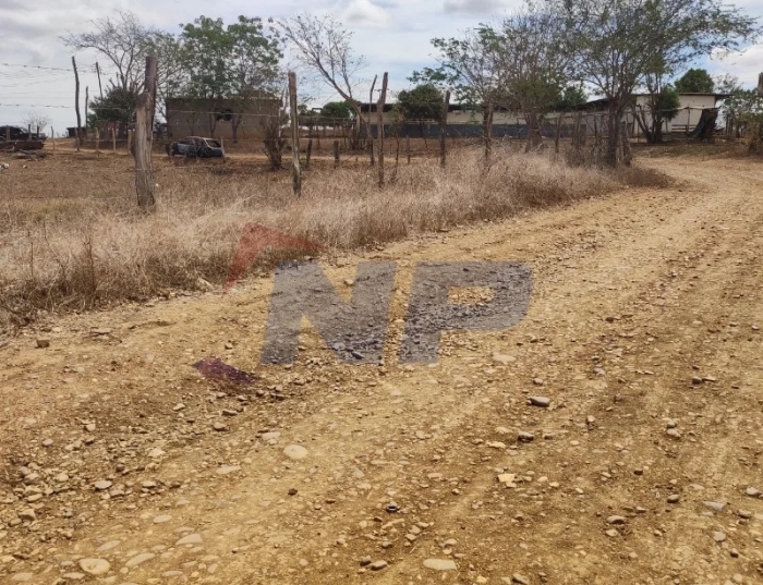 Un charco y un rastro de sangre estaba a unos metros del vehículo.
