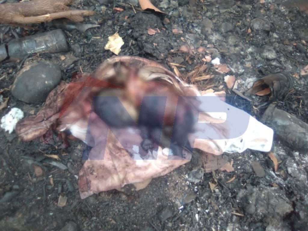 Cuerpo localizado por vecinos del sector