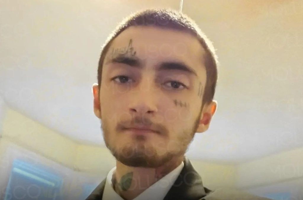 Cortesía de Molusco News