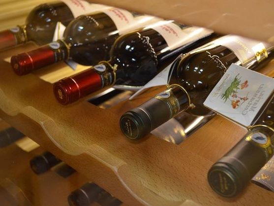 [:es]¿Es importante la marca para una nevera de vinos?[:]