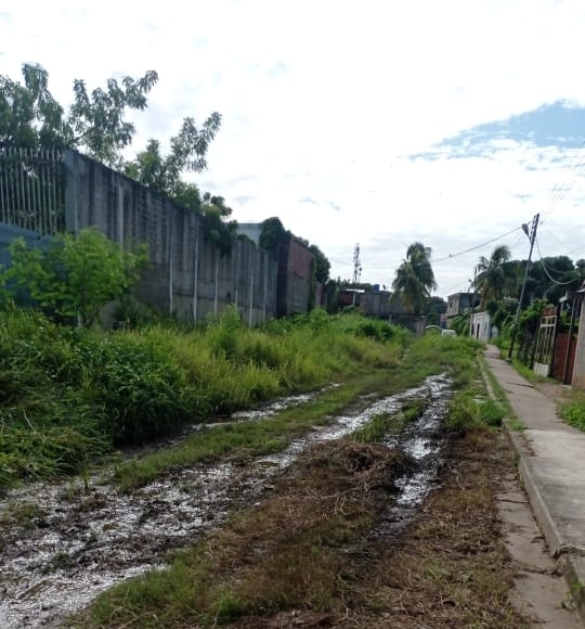 Hacen el llamado al alcalde Ramón Piñango para que busque solución pronta al problema
