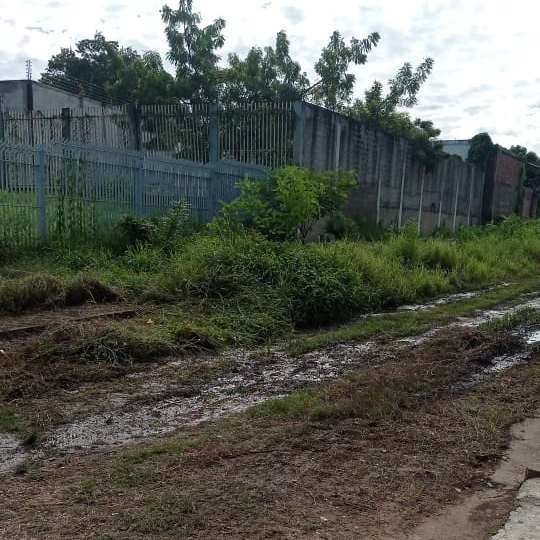 Calle Cedeño de Valle de la Pascua en total abandono