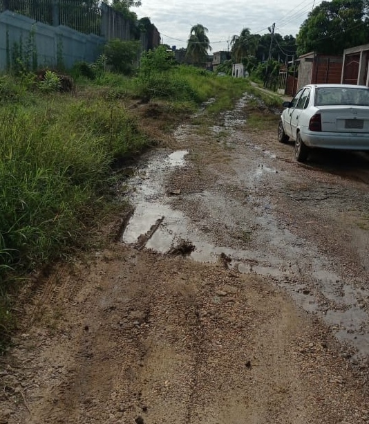 [:es]LA PASCUA. Piden a gritos un cariñito para la calle Cedeño[:]