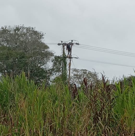 [:es]Palmar 1, 2 y 3 de Valle de la Pascua en «Jaque Mate» con la energía electrica[:]