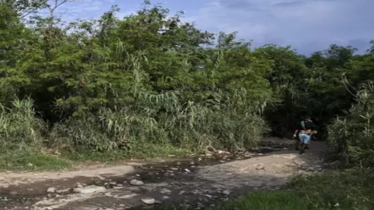 [:es]Encuentran a un venezolano descuartizado en Colombia[:]