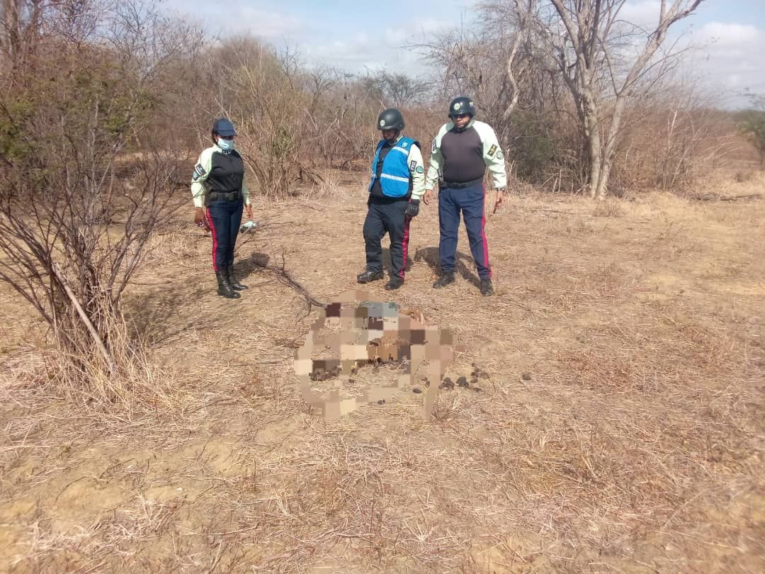 [:es]Una camisa con la frase «Leones del Caracas» fue encontrada junto a restos óseos en La Pascua[:]