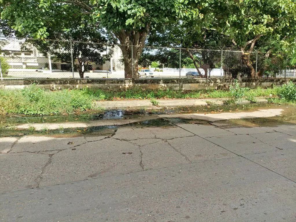 [:es]Más de 5 años llevan desbordadas unas cloacas en Vipedi[:]